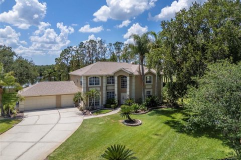 Villa ou maison à vendre à Lutz, Floride: 5 chambres, 304.35 m2 № 2142697 - photo 6