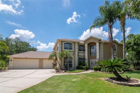 Villa ou maison à vendre à Lutz, Floride: 5 chambres, 304.35 m2 № 2142697 - photo 4