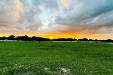 Land in Groveland, Florida № 2235299