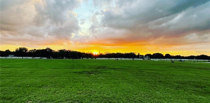 Land in Groveland, Florida № 2235299