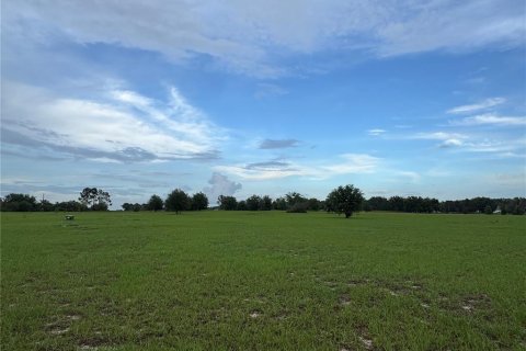 Land in Groveland, Florida № 2235299 - photo 3
