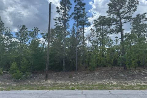 Terrain à vendre à Dunnellon, Floride № 2235192 - photo 2