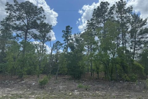 Terrain à Dunnellon, Floride № 2235192