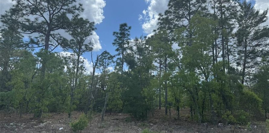 Terrain à Dunnellon, Floride № 2235192