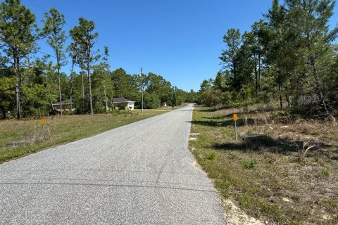 Land in Dunnellon, Florida № 2159821 - photo 5