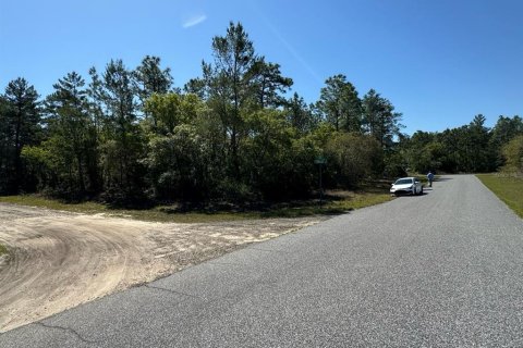 Land in Dunnellon, Florida № 2159821 - photo 3