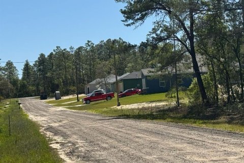 Land in Dunnellon, Florida № 2159821 - photo 2