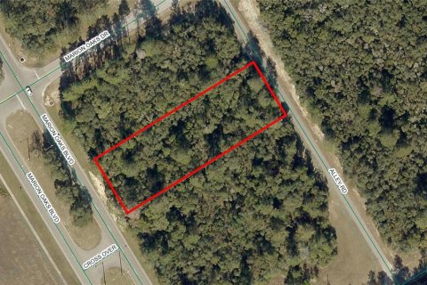 Land in Ocala, Florida № 2299056