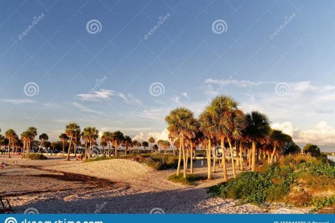Copropriété à louer à Tarpon Springs, Floride: 2 chambres, 104.52 m2 № 2376801 - photo 14