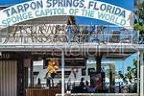 Copropriété à louer à Tarpon Springs, Floride: 2 chambres, 104.52 m2 № 2376801 - photo 15