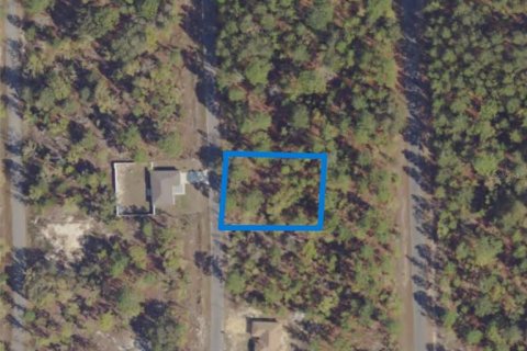 Land in Ocklawaha, Florida № 2215568