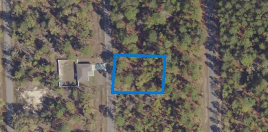 Land in Ocklawaha, Florida № 2215568