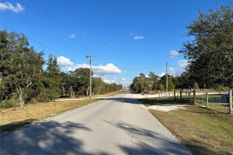 Land in Williston, Florida № 2165266 - photo 2