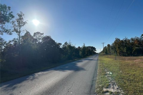 Land in Williston, Florida № 2165266 - photo 3