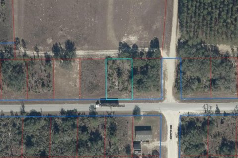 Land in Williston, Florida № 2165266 - photo 4