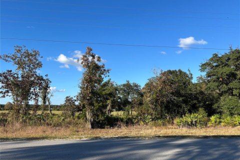 Land in Williston, Florida № 2165266