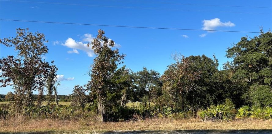 Land in Williston, Florida № 2165266