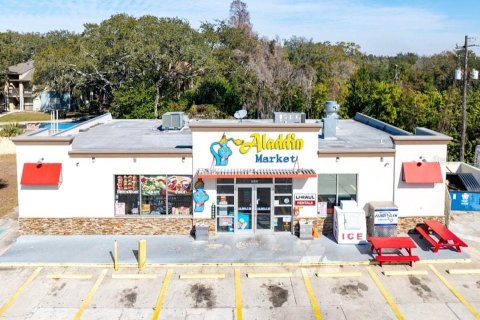 Commercial property in Tampa, Florida 252.69 sq.m. № 2098837 - photo 11