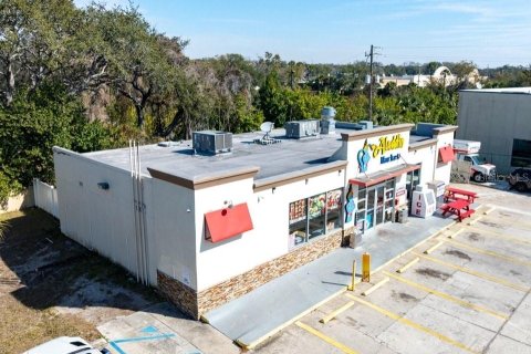 Commercial property in Tampa, Florida 252.69 sq.m. № 2098837 - photo 5