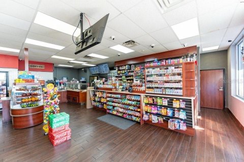 Commercial property in Tampa, Florida 252.69 sq.m. № 2098837 - photo 6