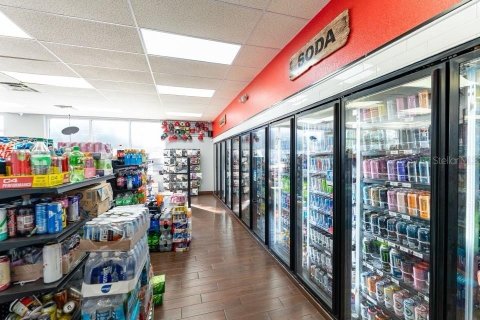 Commercial property in Tampa, Florida 252.69 sq.m. № 2098837 - photo 7