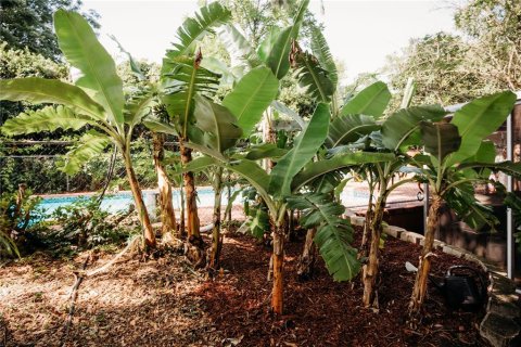 Casa en venta en Gainesville, Florida, 3 dormitorios, 164.99 m2 № 1788027 - foto 4