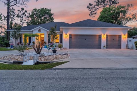Villa ou maison à Palm Coast, Floride 3 chambres, 189.89 m2 № 2096598