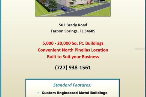 Propiedad comercial en alquiler en Tarpon Springs, Florida № 1085747 - foto 5