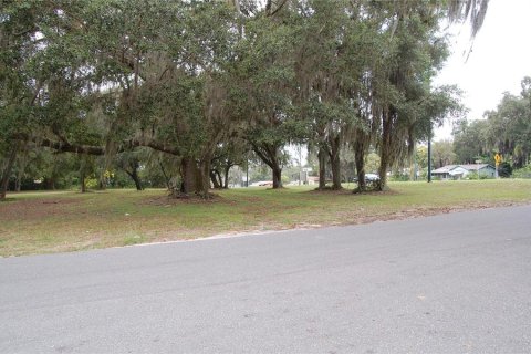 Land in Leesburg, Florida № 214015 - photo 2
