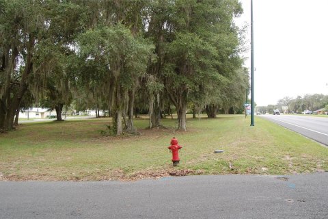 Land in Leesburg, Florida № 214015 - photo 1
