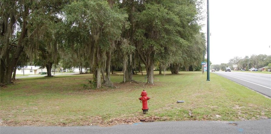 Land in Leesburg, Florida № 214015