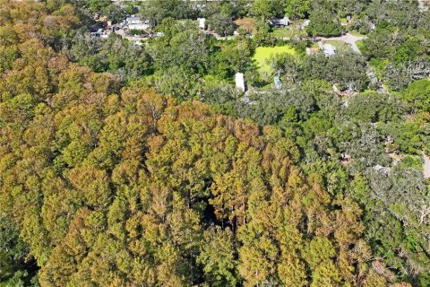 Terreno en venta en New Port Richey, Florida № 1430961 - foto 7