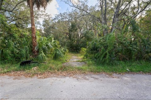Terreno en venta en New Port Richey, Florida № 1430961 - foto 3