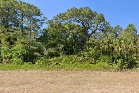 Land in Lehigh Acres, Florida № 2158860