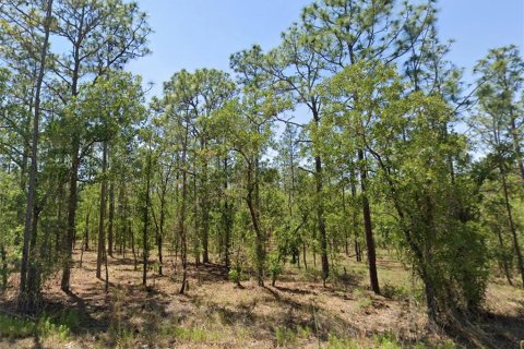 Terrain à Dunnellon, Floride № 2226835