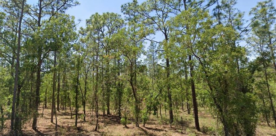 Terrain à Dunnellon, Floride № 2226835