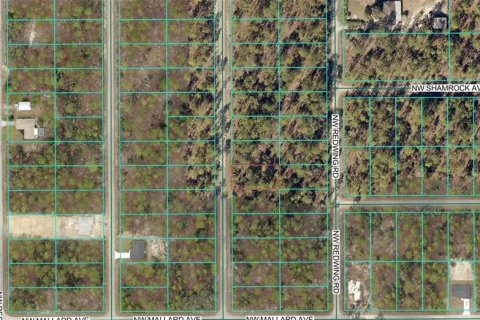 Terrain à vendre à Dunnellon, Floride № 2226835 - photo 4