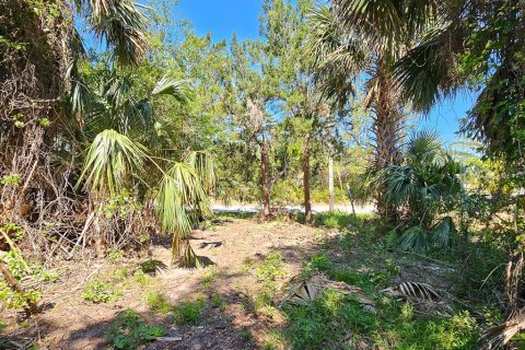 Land in Palm Coast, Florida № 1723298 - photo 3
