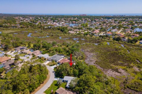 Land in Palm Coast, Florida № 1723298 - photo 5
