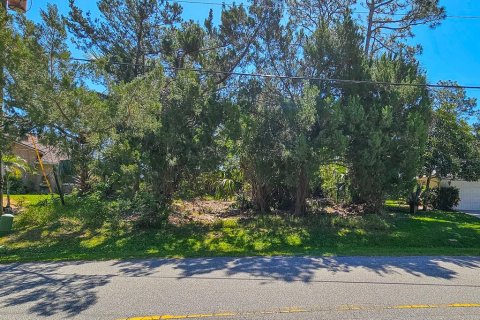Land in Palm Coast, Florida № 1723298 - photo 4