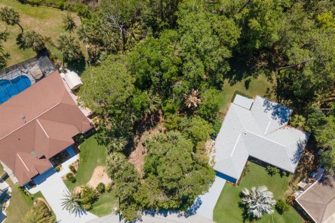 Land in Palm Coast, Florida № 1723298 - photo 11