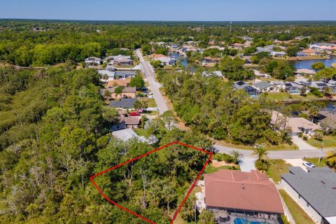 Land in Palm Coast, Florida № 1723298 - photo 13