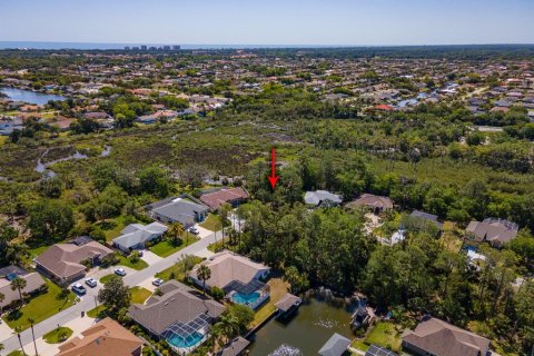 Land in Palm Coast, Florida № 1723298 - photo 17