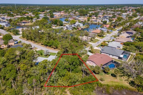 Land in Palm Coast, Florida № 1723298 - photo 12