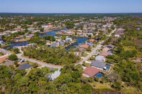 Land in Palm Coast, Florida № 1723298 - photo 16