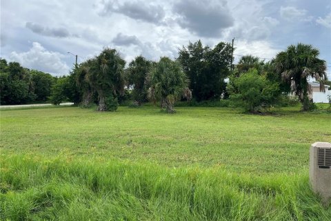 Land in Port Charlotte, Florida № 2165125 - photo 3