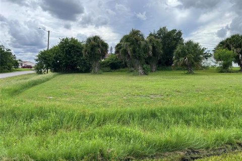 Land in Port Charlotte, Florida № 2165125 - photo 2