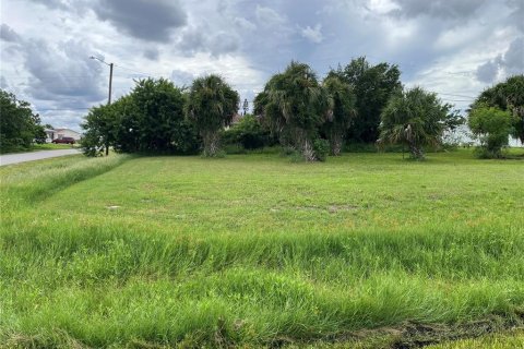 Land in Port Charlotte, Florida № 2165125