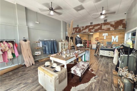 Immobilier commercial à vendre à Inverness, Floride № 1835579 - photo 2