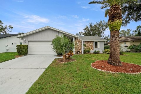 Villa ou maison à vendre à Safety Harbor, Floride: 3 chambres, 148.55 m2 № 1910658 - photo 1